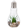 ATMOSPHERA - Plante artificielle LED ATMOSPHERA ampoule h.18.5cm - vignette