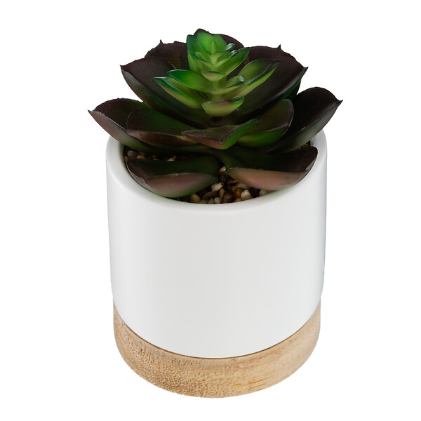 ATMOSPHERA - Succulente artificielle céramique bois ATMOSPHERA 12cm - large