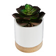 ATMOSPHERA - Succulente artificielle céramique bois ATMOSPHERA 12cm - vignette