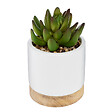 ATMOSPHERA - Succulente artificielle céramique bois ATMOSPHERA 12cm - vignette