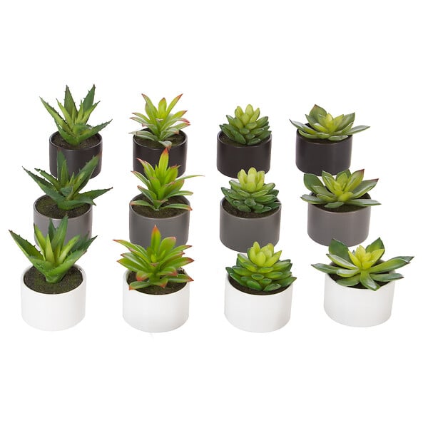 ATMOSPHERA - Plante grasse artificielle en pot grès - Multicolore - Hauteur 13cm - large