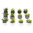 ATMOSPHERA - Plante grasse artificielle en pot grès - Multicolore - Hauteur 13cm - vignette