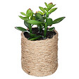 ATMOSPHERA - Plante artificielle corde - vignette