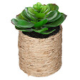 ATMOSPHERA - Plante artificielle corde - vignette