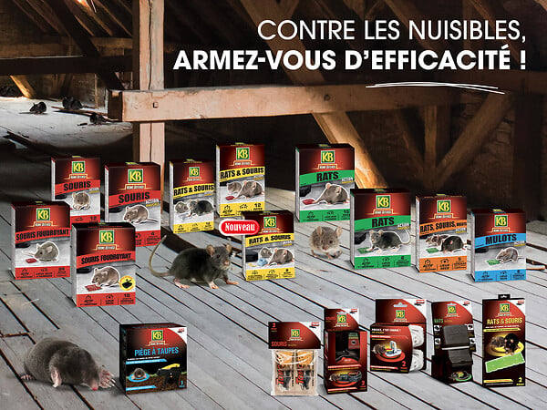 KB HOME DEFENSE - Appât rongeurs céréales - 5 sachets de 25g - large