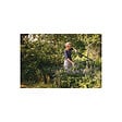FISKARS - Coupe branches FISKARS - Singlestep - 32mm - 1001432 - vignette