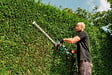 METABO - Tailles-haies filaire HS 8755 0 - vignette
