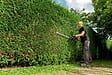 METABO - Tailles-haies filaire HS 8755 0 - vignette