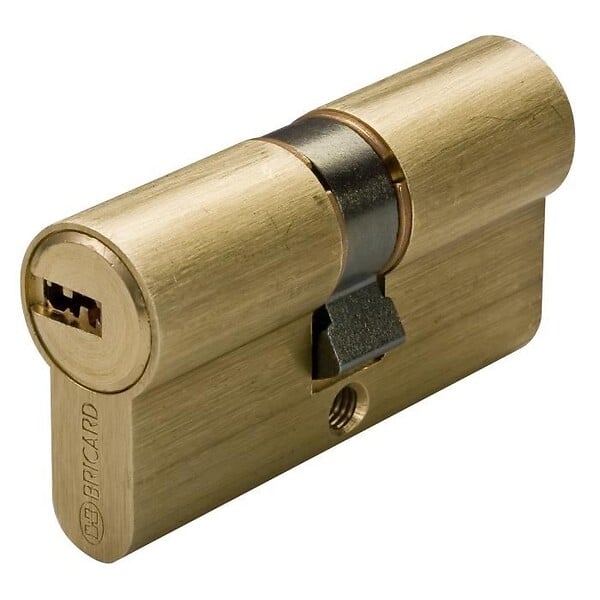 BRICARD - Cylindre Bricard MEDIAL 40 x 40 mm - large