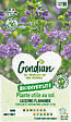GONDIAN - Plantes utiles au sol - Luzerne Flamande Gondian - vignette