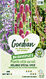 GONDIAN - Mélange Plantes Utiles au sol - Spécial Potager Gondian - vignette