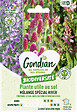GONDIAN - Mélange plantes utiles sol - Spécial Potager Gondian - 3 espèces légumineuses - vignette