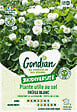GONDIAN - Graines de trèfle blanc Gondian - Fixateur d'azote - 0,5 kg - vignette