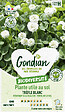GONDIAN - Plantes utiles au sol - Trèfle Blanc Gondian - vignette