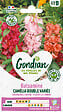 GONDIAN - Balsamine à fleur de camélia double variée - 80cm - vignette