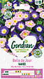 GONDIAN - Graines de fleurs Belle de jour - Multicouleur - 4g - vignette