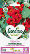 GONDIAN - Capucine grimpante Lobb Spit Fire - Rouge vermillon - 3 m - vignette