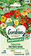 GONDIAN - Capucine Tom Pouce Variée Gondian - vignette