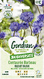 GONDIAN - Centaurée Bleuet Bleue Gondian - vignette