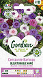 GONDIAN - Sachet de graines Centaurée Bleuet Double Varié - 2g - vignette