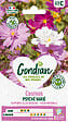 GONDIAN - Graines Cosmos Psychée - Multicouleur - Hauteur 100cm - vignette
