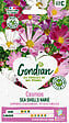 GONDIAN - Graines Cosmos Sea Shells - Annuelle - Multicolore - 1.5g - vignette