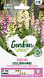 GONDIAN - Digitale Excelsior Variée - Graines bisannuelles - 120cm - vignette
