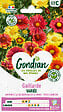 GONDIAN - Gaillarde Vivace Variée Gondian - Graines - Haut. 60cm - vignette