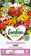 GONDIAN - Giroflée Simple Variée - Graines - Variée - 50cm - vignette
