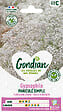 GONDIAN - Gypsophile Paniculé - Buissonnant - Fleurs Blanches 80cm - vignette
