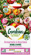 GONDIAN - Immortelle à bractées double variée - Fleurs 5cm - 90cm - vignette
