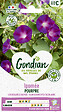 GONDIAN - Ipomée Volubilis Pourpre Gondian - vignette
