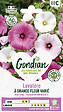 GONDIAN - Sachet de graines - Lavatère à Grande Fleur - Hauteur 100cm - vignette