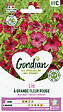 GONDIAN - Lin de Venise Gondian - vignette