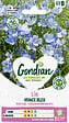 GONDIAN - Lin Vivace Bleu Gondian - Plante à port compact - 40-50cm - vignette