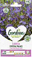 GONDIAN - Lobélia Crystal Palace Gondian - vignette