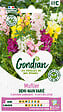 GONDIAN - Muflier demi-nain varié - Godet 0.5L - Mélange de couleurs - vignette