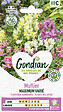 GONDIAN - Graines Muflier Maximum Varié - Mélange coloris vifs - 90cm - vignette