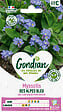 GONDIAN - Graines de myosotis des Alpes - Myosotis des Alpes - Bleu - vignette