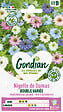 GONDIAN - Nigelle de Damas Double Variée - Pastel - 50cm - vignette