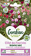 GONDIAN - Graines Oeillet des Fleuristes Triomphe Varié - Vivace - vignette