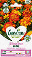 GONDIAN - Graines Œillet d'Inde Bonita Boléro - Brun et or - 30cm - vignette