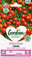 GONDIAN - Graines Oeillet d'Inde Bonita Carmen - Marron bordé d'or - vignette