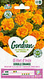 GONDIAN - Oeillet d'Inde Petite Orange Gondian - vignette