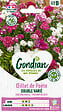 GONDIAN - Graines Oeillet de Poète Double Varié - Plante bisannuelle - vignette