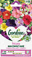 GONDIAN - Pétunia nain varié Gondian - Graines pour massifs - 0,5 g - vignette