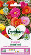 GONDIAN - Pourpier double varié - Graines - Fleurs multicolores - vignette