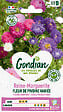 GONDIAN - Graines Reine-Marguerite Fleur de Pivoine - Variée - 80cm - vignette