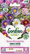 GONDIAN - Reine-Marguerite Simple Variée Gondian - vignette