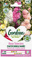 GONDIAN - Rose trémière Extra Chater Varié - Multicouleur - 2-3cm - vignette